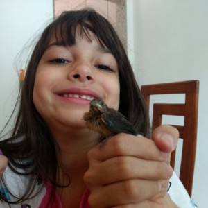 Criatório Belford Roxo